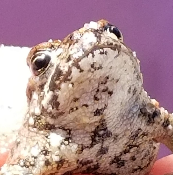 Meet your Posher, Karen - Picture 1 of 1